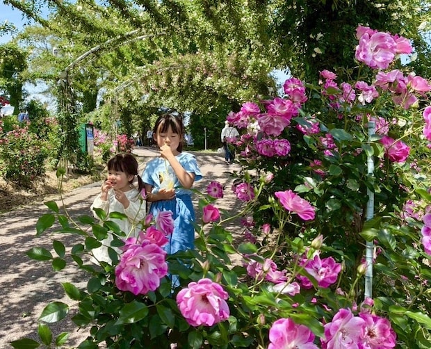 【鹿児島県・大隅半島】穴場発見！「想像以上」が詰まった町、鹿屋を巡る旅【九州ママ通信Vol.29】