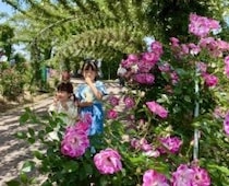 【鹿児島県・大隅半島】穴場発見！「想像以上」が詰まった町、鹿屋を巡る旅【九州ママ通信Vol.29】