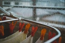「部屋の湿気がやばい！」と感じたら！原因や湿度を下げる方法、湿気対策まで徹底解説