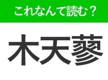 【木天蓼】はなんて読む？猫が大好きな植物の名前！