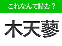 【木天蓼】はなんて読む？猫が大好きな植物の名前！