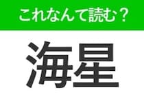 【海星】はなんて読む？海に生息する動物のこと！