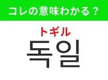 【韓国生活編】クリスマスマーケットで有名な国！「독일（トギル）」の意味は？