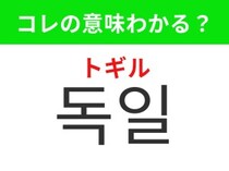 【韓国生活編】クリスマスマーケットで有名な国！「독일（トギル）」の意味は？