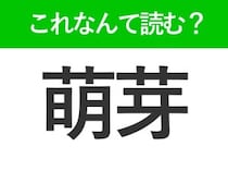 【萌芽】はなんて読む？「もえが」とは読みません！