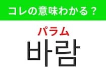 【韓国生活編】 肌で感じる空気の流れ！「바람（パラム）」の意味は？