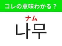 【韓国生活編】 幹や枝、葉を持つ植物！「나무（ナム）」の意味は？