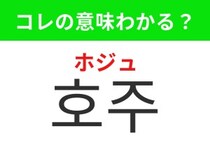【韓国生活編】 美しい自然が広がる国！「호주（ホジュ）」の意味は？
