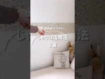 「意外な使い方で大バズり！」【整理収納アドバイザー直伝】100均・セリアの人気商品とは？！