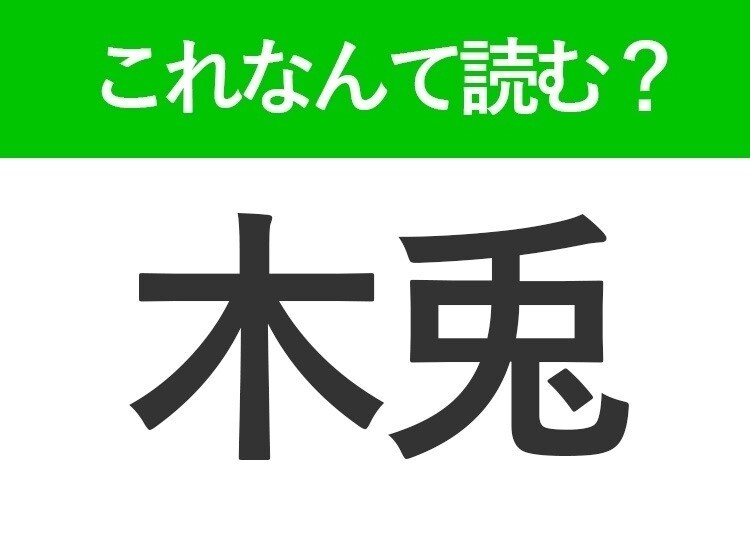 【木兎】はなんて読む？「きうさぎ」ではありません！意外な鳥の名前
