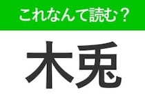【木兎】はなんて読む？「きうさぎ」ではありません！意外な鳥の名前