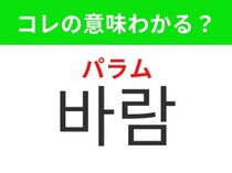 【韓国生活編】 肌で感じる空気の流れ！「바람（パラム）」の意味は？