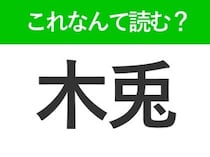【木兎】はなんて読む？「きうさぎ」ではありません！意外な鳥の名前