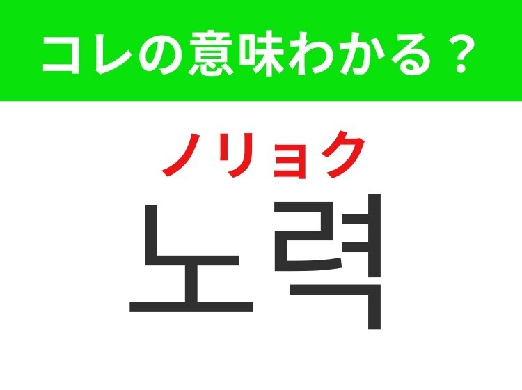 【韓国生活編】夢を叶えるための積み重ね!「노력(ノリョク))」の意味は?