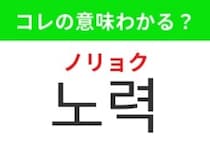 【韓国生活編】夢を叶えるための積み重ね！「노력（ノリョク））」の意味は？
