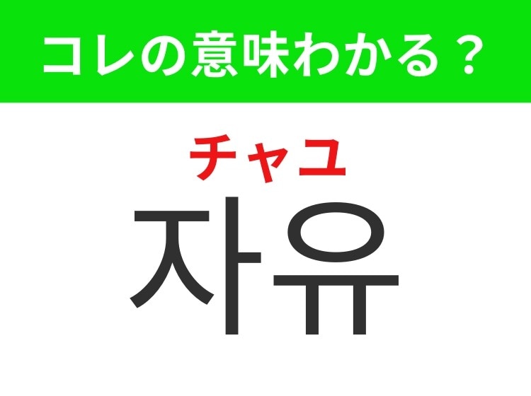 【韓国生活編】縛られず好きに過ごせること!「자유(チャユ)」の意味は?