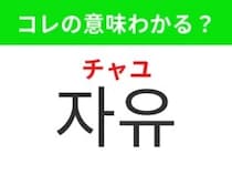 【韓国生活編】縛られず好きに過ごせること！「자유（チャユ）」の意味は？