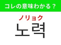 【韓国生活編】夢を叶えるための積み重ね！「노력（ノリョク））」の意味は？