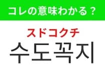 【韓国生活編】キッチンや洗面台にある設備！「수도꼭지（スドコクチ）」の意味は？