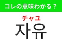 【韓国生活編】縛られず好きに過ごせること！「자유（チャユ）」の意味は？