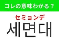 【韓国生活編】毎日の身支度に欠かせない場所！「세면대（セミョンデ）」の意味は？