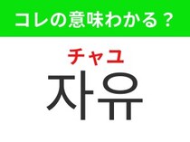 【韓国生活編】縛られず好きに過ごせること！「자유（チャユ）」の意味は？
