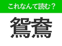 【鴛鴦】はなんて読む？答えは男女の様子を表す鳥の名前です！