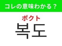 【韓国生活編】人が通るための道！「복도（ポクト）」の意味は？