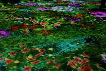 【大阪・関西万博】開催エリアの魅力を知れるNo.1の関西館