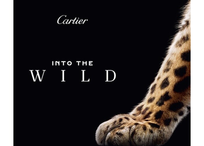 カルティエの象徴「パンテール」の精神を体感。銀座で没入型ポップアップを開催