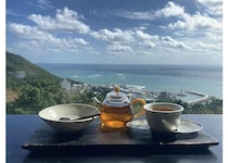 韓国南部3都市ウェルネス旅 心身の美を育む食との出会い