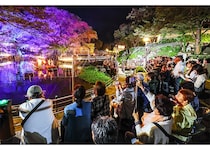 一生に一度は見たい、韓国南部・光の祭り