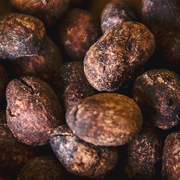 ロクシタン　シアバター