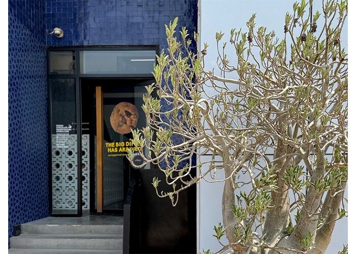 ドバイで訪れたい! カカオにこだわるチョコレートショップ