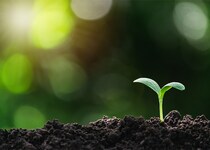 9月後半の運気をリベンジ！ 藤島佑雪・九星気学　三碧木星