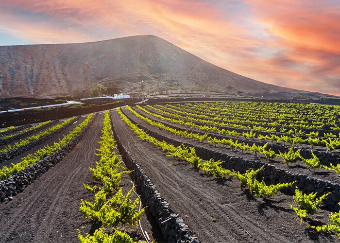 9月後半の運気をリベンジ! 藤島佑雪・九星気学 二黒土星
