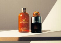 「モルトンブラウン」悠久の時が紡ぐ「ウード」の旋律