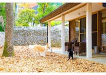 愛犬とかなえる大人のぜいたく。ラグジュアリーな温泉宿「レジーナリゾート由布院」