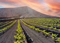 1月後半の運気をリベンジ！ 藤島佑雪・九星気学　二黒土星