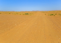 1月後半の運気をリベンジ！ 藤島佑雪・九星気学　五黄土星