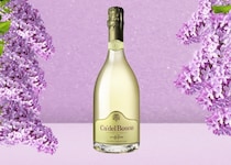 【フランチャコルタ】イタリア・スパークリングワインの最高峰、「カ・デル・ボスコ」が女性におすすめの理由