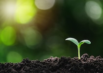 3月後半の運気をリベンジ！ 藤島佑雪・九星気学　三碧木星