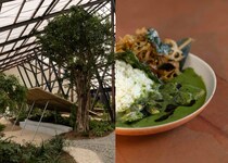 千葉・大多喜の「大多喜有用植物苑」がオープン。ハーブガーデンから進化した体験型スポット