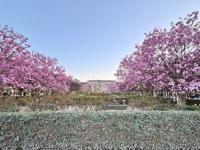 こんな時代だからこそ美しいものを見たい【マリ・クレールデジタル編集長のパリコレ日記①】